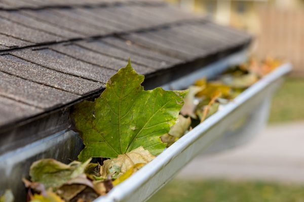 Commercial Downspout Cleaning in Oklahoma City