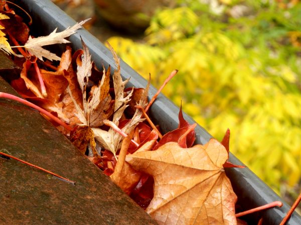 Roof Gutter Debris Removal in Oklahoma City
