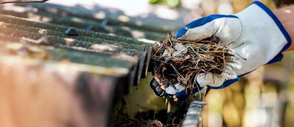 Pine Needle Gutter Cleaning in Oklahoma City