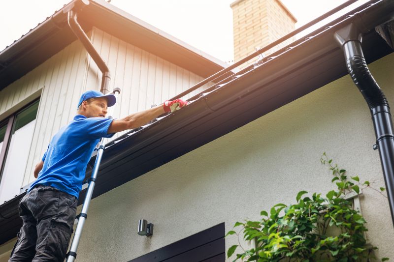 Rain Gutter Maintenance